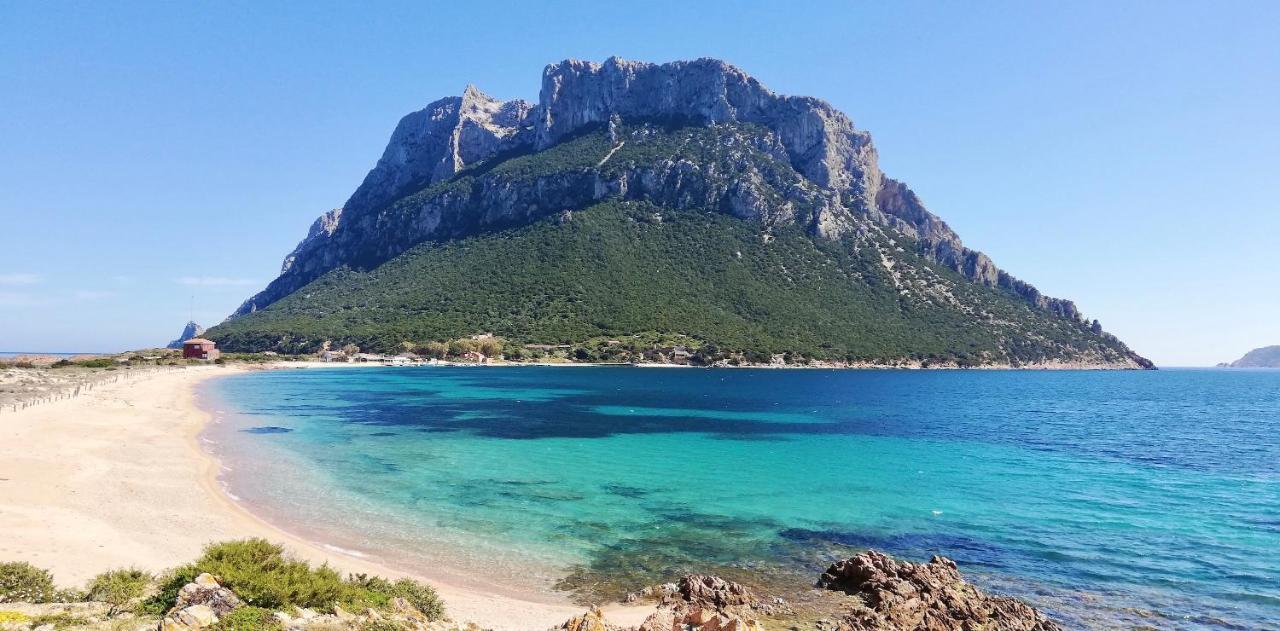 Aparthotel Il Faro San Teodoro Zewnętrze zdjęcie